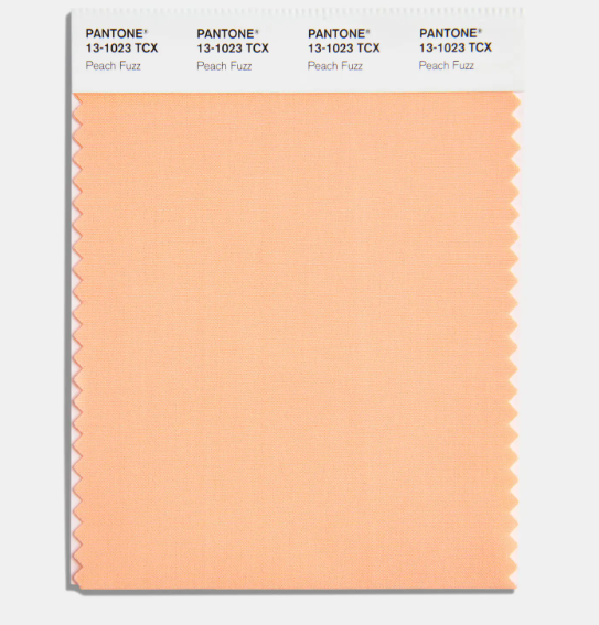 Kolor roku 2024 według Pantone 1
