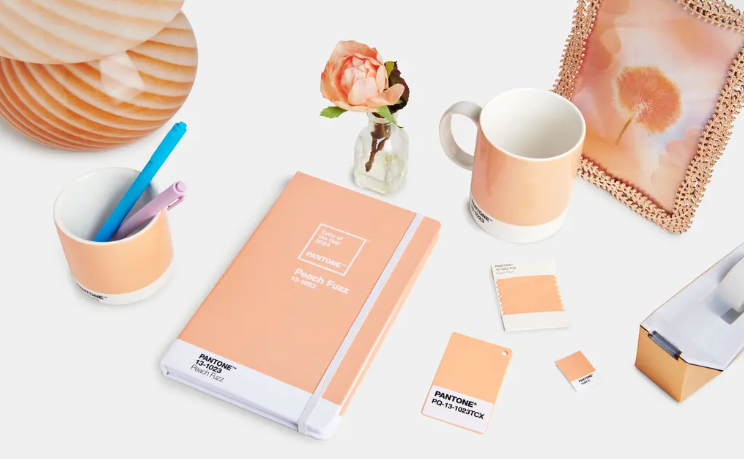 Kolor roku 2024 według Pantone 3